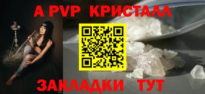 спайс Кингисепп