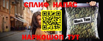 спайс Кингисепп