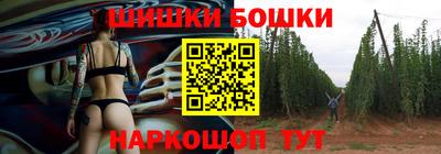спайс Кингисепп