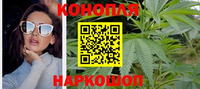 спайс Кингисепп