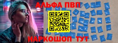 спайс Кингисепп
