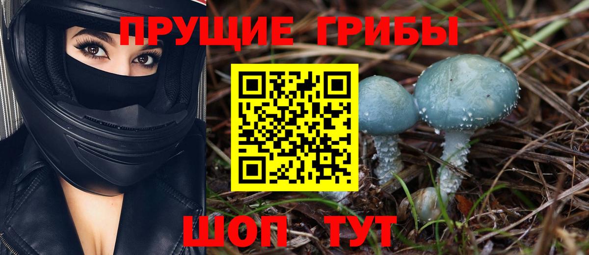 что такое наркотик  Галлюциногенные грибы мухоморы  Вход с VPN  Псилоцибиновые грибы ЛСД  Ярцево 